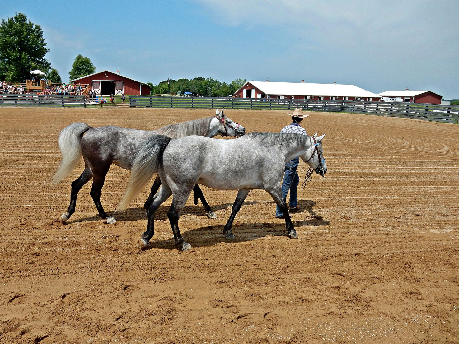 Activities Double Eagle Ranch Stables and Horse Boarding