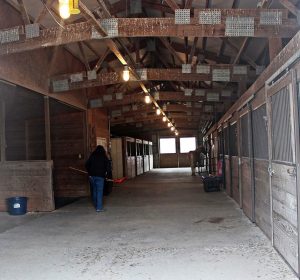 Double Eagle Ranch Stables