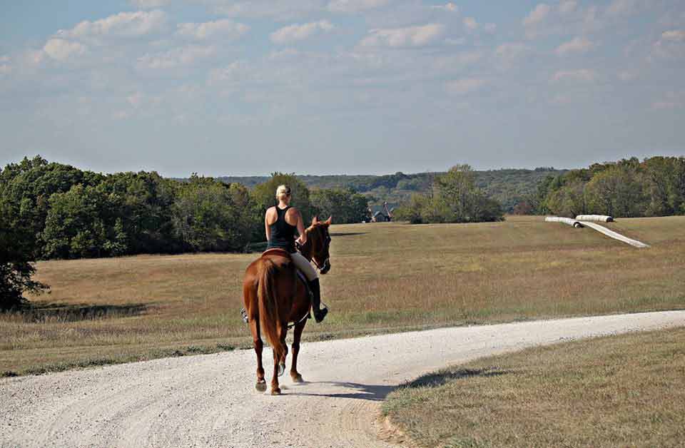 Trail Riding Double Eagle Ranch Stables and Horse Boarding