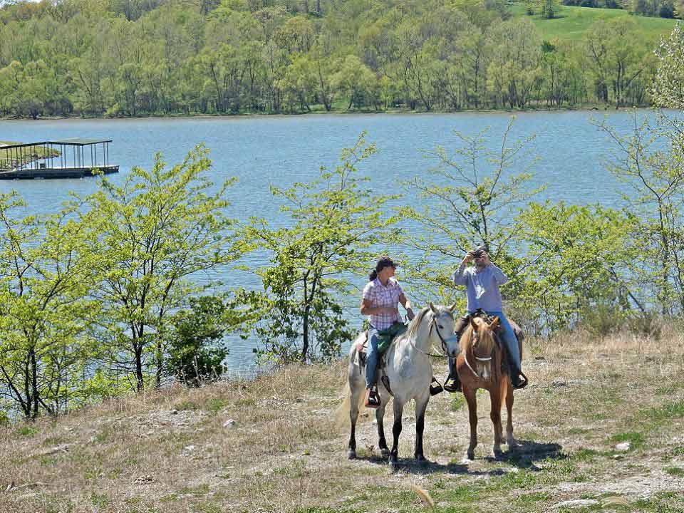 Trail Riding Double Eagle Ranch Stables and Horse Boarding